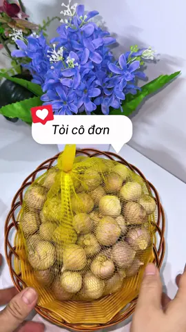 Tỏi cô đơn , tổ lý sơn đúng chuẩn #toicodon #toilyson #tỏi #food #review 