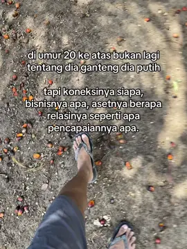#petanisawit #sawitontiktok #storysawit🌴🌴 