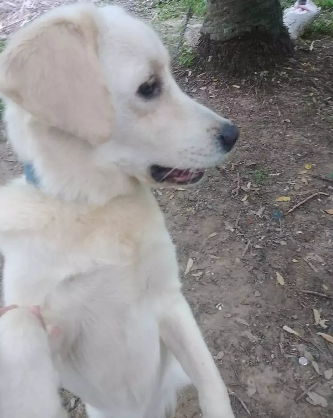 PAsi follow buddy echavez #fyp #foryou 