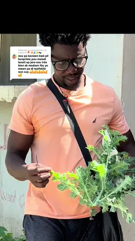 Réponse à @sandyy12☄️🔥🌀🫅🐜 siw bezwen reset pou yon lot maladi mandel nan komantè a #creatorsearchinsights #haitiantiktok #foryou #fyp 