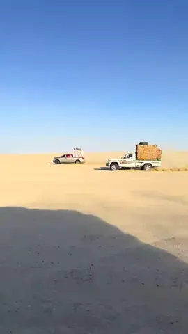 #ملوك_الصحراء_الغربيه🐪👑 #