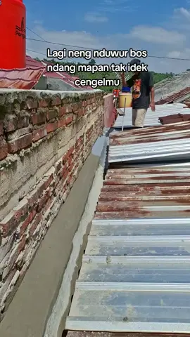 #fypage #fyp #kulibangunanmaintiktok 