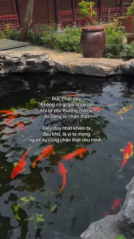 Nam Mô A Di Đà Phật 🙏🏻🙏🏻🙏🏻 #phapphucdichua #viral #phatphapnhiemmau #ngoclan #phatdaovothuong 