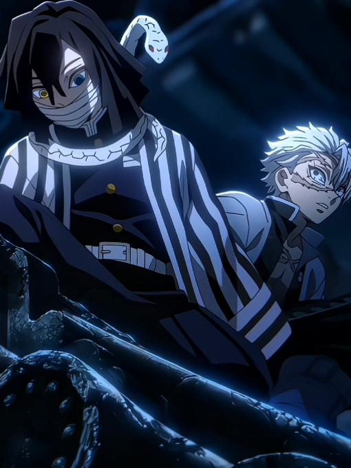 Vai que é tua cascavel #edit #demonslayer #obanai #sanemi #fyp 