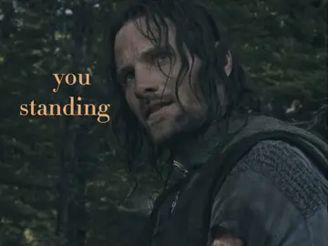 #ARALAS || they’re actually my sons ☹️☹️ . . . #lordoftherings #lotr #aragorn #legolas 