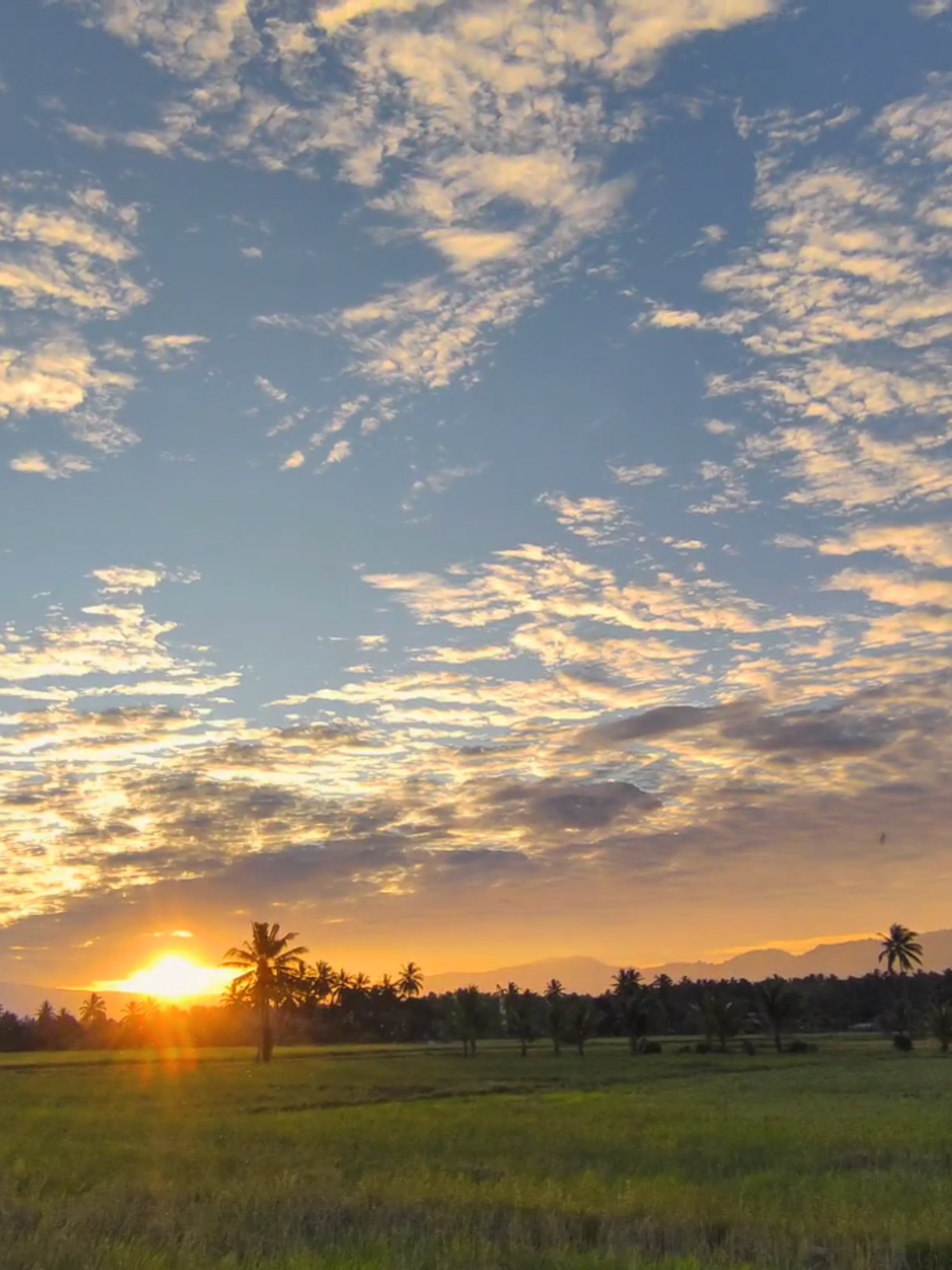 #sunset #style  . . . . . #fyp #masukberanda #xybcza #foryoupage #mentahan #poco #pocox3nfc #pocox7pro #pocox6pro #colorgrading