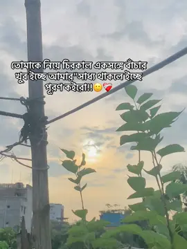 তোমাকে নিয়ে চিরকাল একসঙ্গে বাঁচার খুব ইচ্ছে আমার