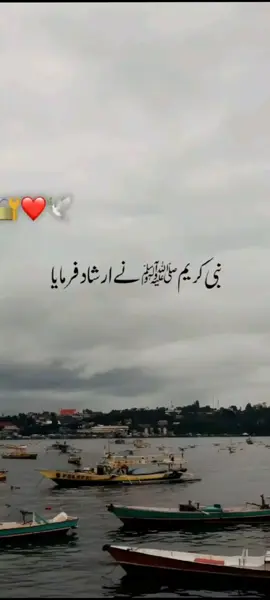 نبی کریم صلی اللہ علیہ وسلم نے ارشاد فرمایا ❤️‍🩹❤️‍🩹 #assalamualaikum❤️ #foryouuuu #explorepage✨ #islamicvideo #1millionaudition 