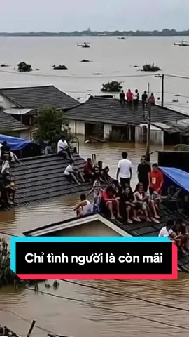 Đội Tìm Kiếm CHCN 0 đồng Phú Thọ.Hỗ trợ lũ lụt tại Nông Cống Thanh Hoá.Lũ lụt thanh hoá lúc này #tanmuong #tanmuong_19 #tanmuong19 