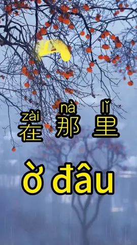 汉语方向định hướng tiếng trung#汉语 #汉语拼音 #tiếng trung#tiếng trung việt