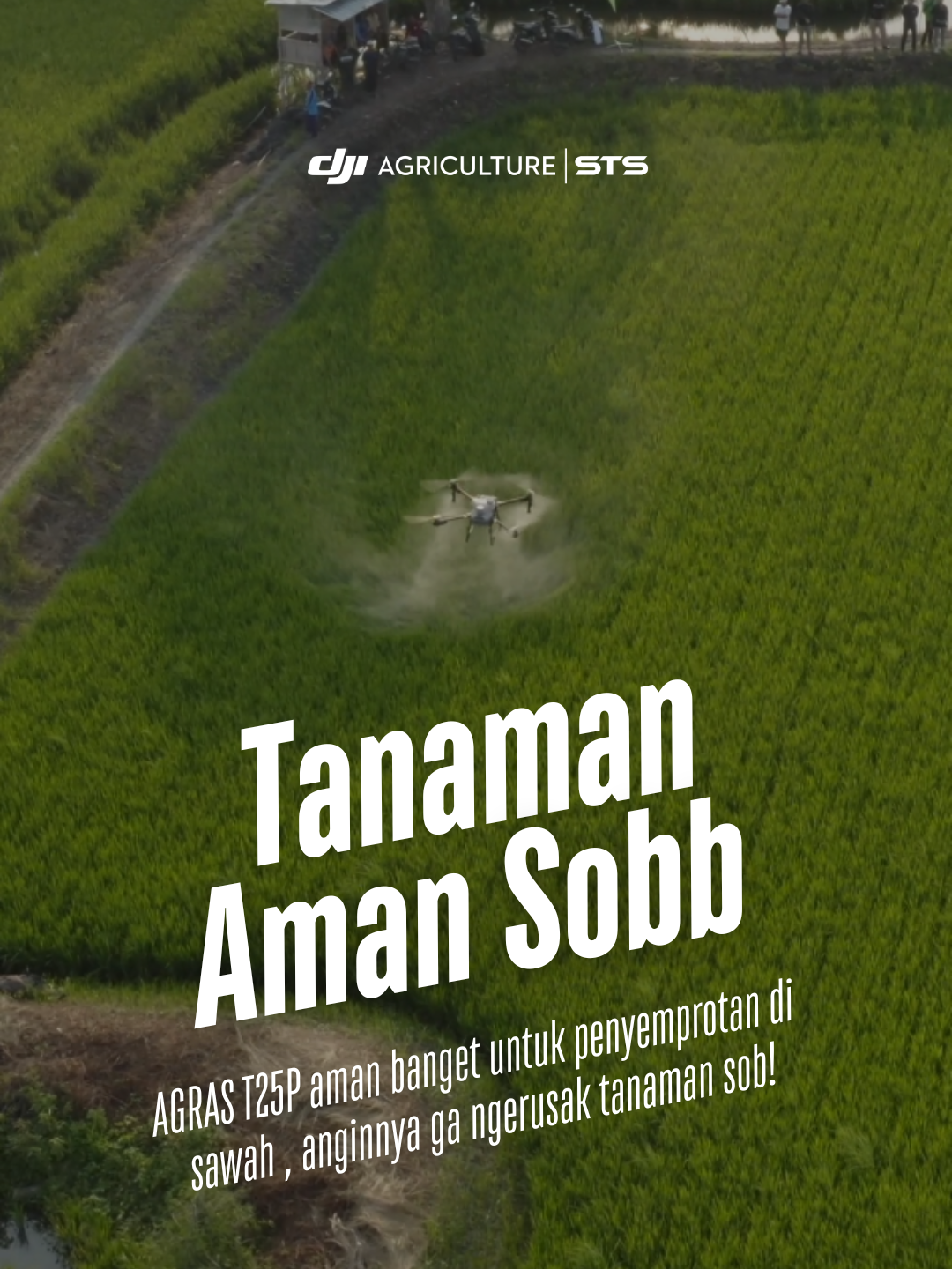 Sobat Agras! Liat nih AGRAS T25P nyemprot di lahan sawah, amann kannn? semprotannya merata lagi! #djiagriculture #dronepertanian #djlindonesia #petanimuda