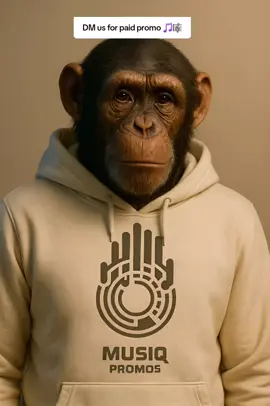 #musiqpromos #chimpanzee #latestmusic #happiness #monkeys 