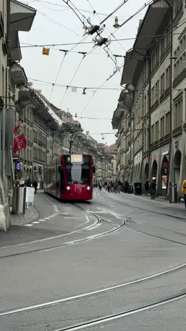 #fyp #bern #ftpシ゚viral 