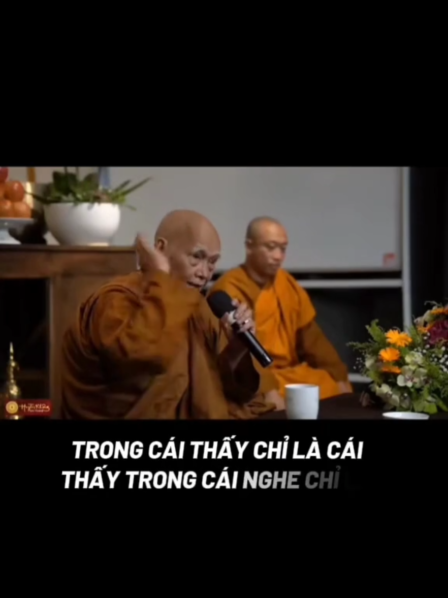 Tuệ Tri #tuniemxu #phatphap  #thayvienminh #daophat  #minhnghiem_47m1 