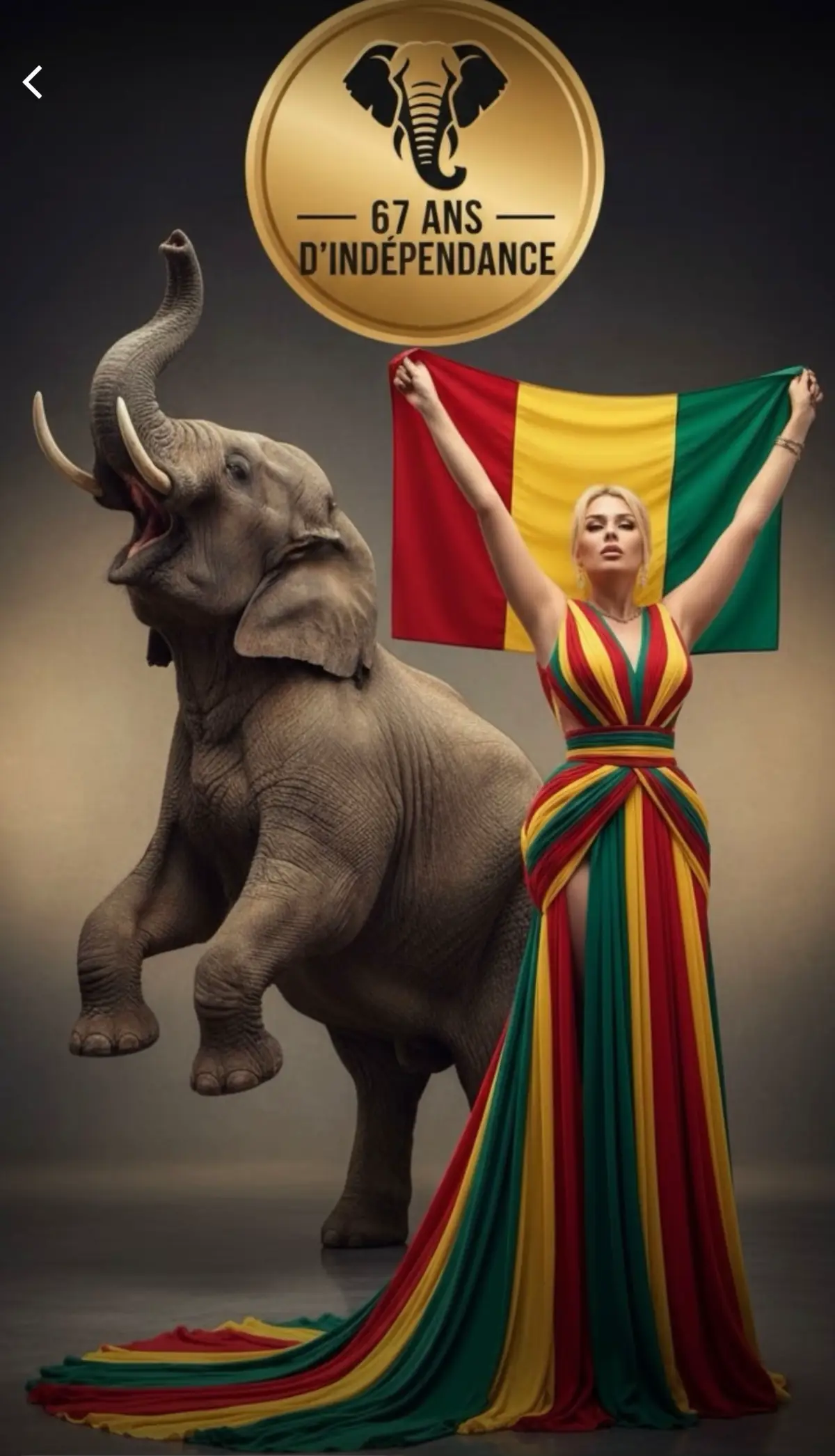 #tiktokguinee224🇬🇳 #independenceday #mamadidoumbouya🇬🇳 #GMD #guineenne224🇬🇳 