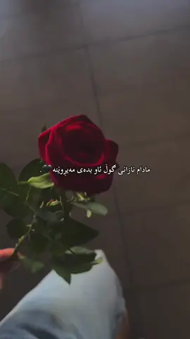 🥀#fyp #fypage #foryoupage #foryourpage #fypシ゚viral🖤tiktok 