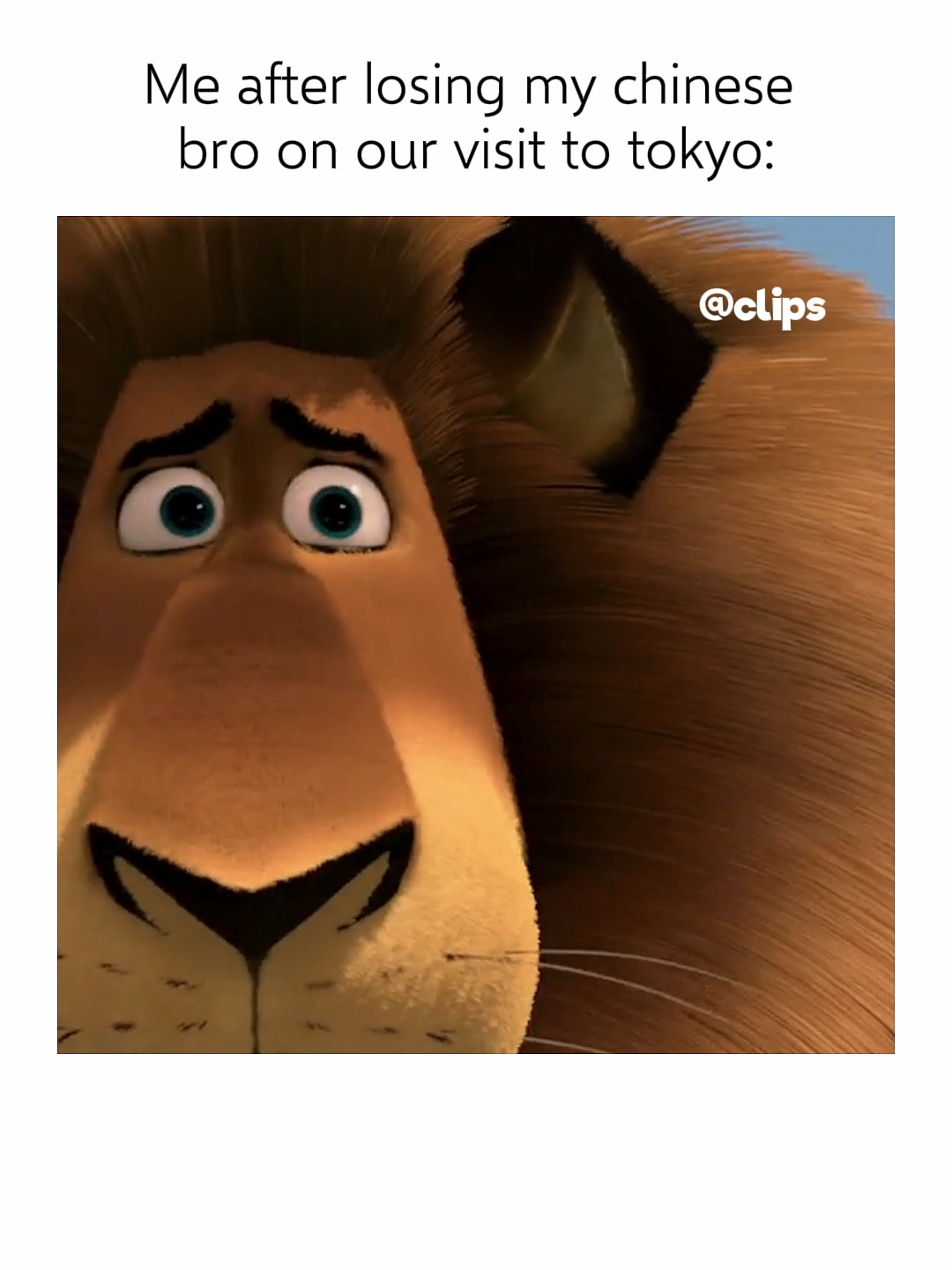 📷 Fun Fact: In Madagascar: Escape 2 Africa (2008), the little old lady Nana—who hilariously beats up Alex the lion—was so popular in the first film that the writers brought her back with an even bigger role, turning her into one of the movie’s funniest recurring characters!