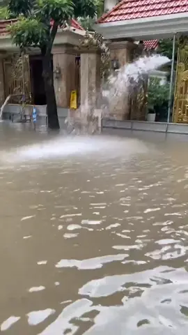 Lúc chị ta nói mấy căn biệt thự to đang phải bơm nước từ trong nhà ra thì tôi không tưởng tượng ra được... =)))))))))) #TikTok #geleximco #ankhanhhoaiduc #bualoi #lut 