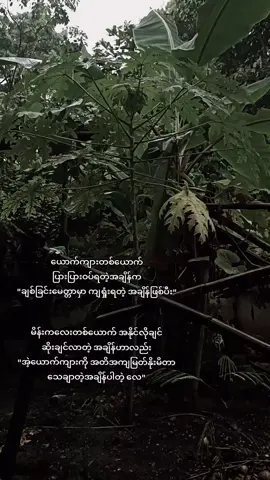 မေတ္တာတရားတွေထပ်တူကျလာတဲ့အခါ သိပ်ကိုနေထွေးပီး ကြည်နူးရပါတယ်ကွယ်။#fyp #fyp #fyppp #fypppppp #fypppppp 
