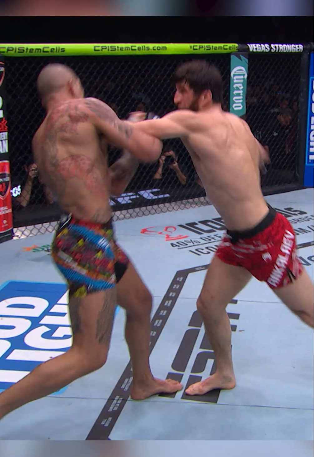 Анкалаев vs Перейра | Лучшие моменты #UFC #UFC320 #highlights #pereira #ankalaev 