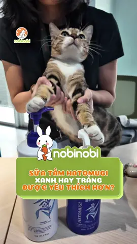 CUỘC CHIẾN KHÔNG HỒI KẾT… 🧴🔥  Team Trắng hay Team Xanh? Bạn chọn ai? #nobinobi #hangnoidianhat #hatomugi #suatam 