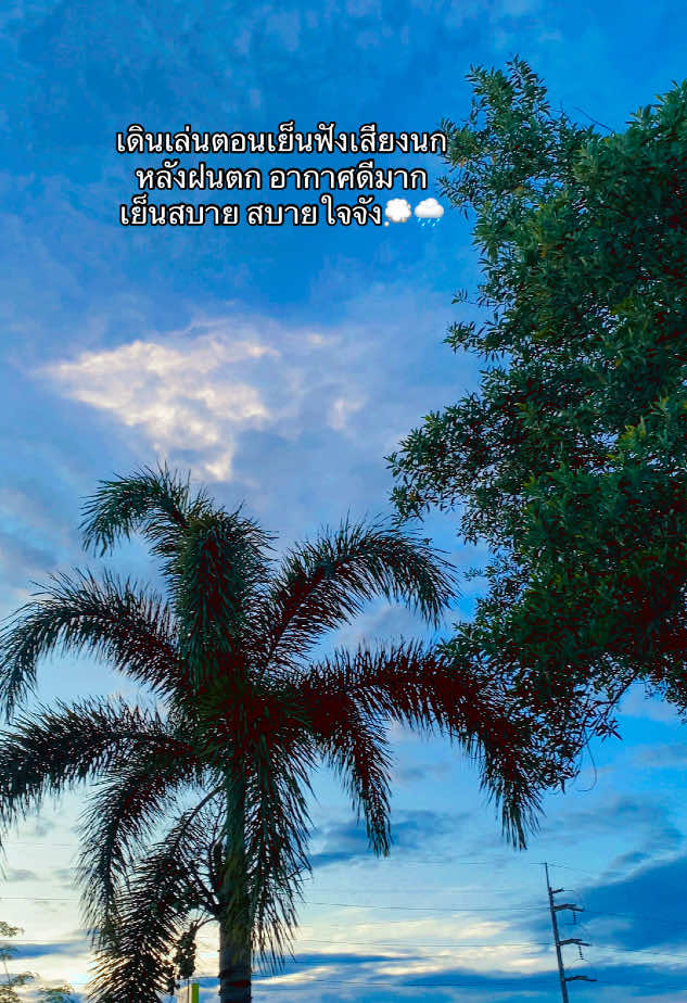 ยามเย็นหน้าบ้าน #แสนดีที่ชอบไปโรงเรียน #เดินเล่น #ฟังเสียงธรรมชาติ #เดินเล่นยามเย็นอากาศดี #บ้าน 