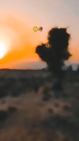 #CapCut 