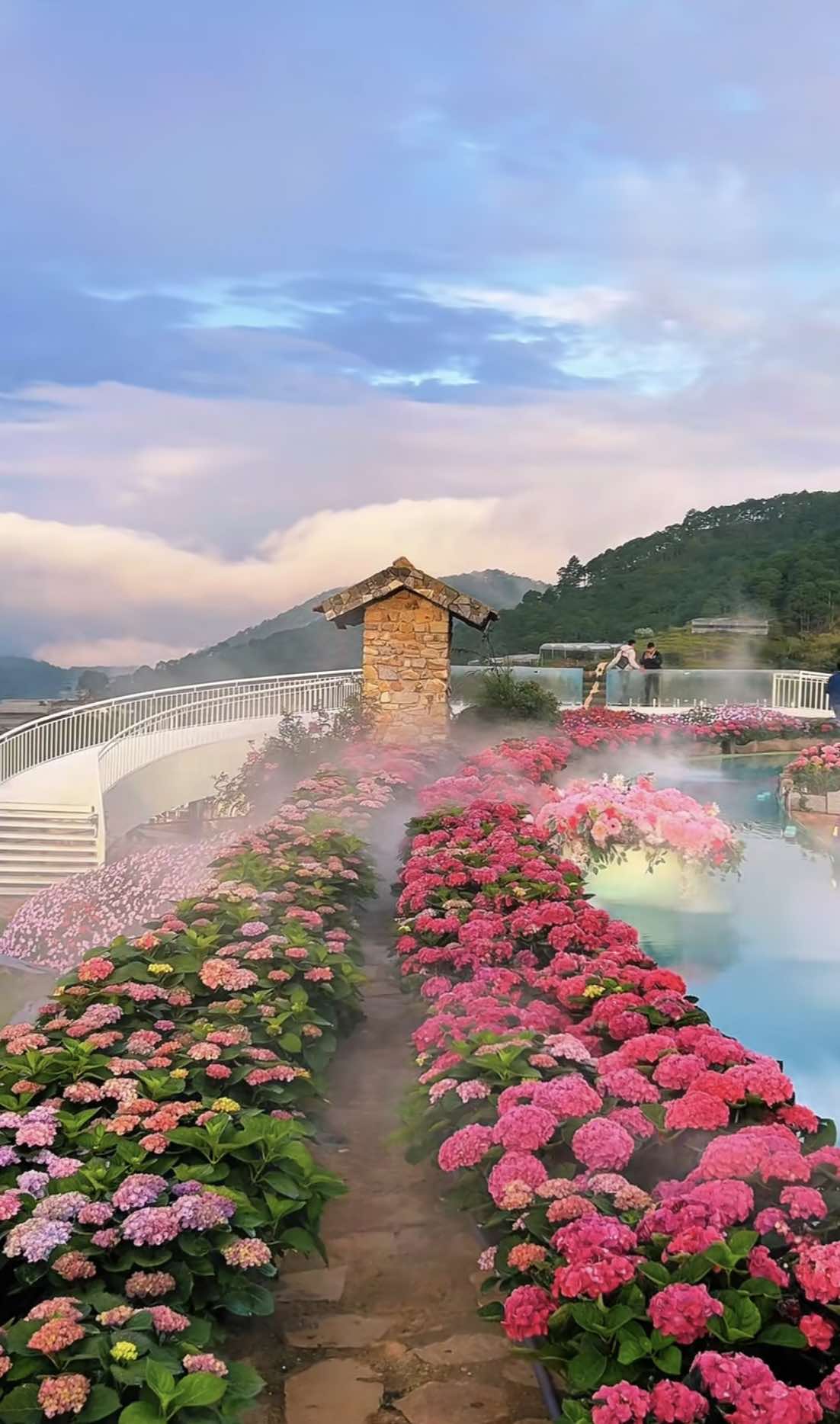 #thinhhanhtiktok #xuhuongtiktok2025 