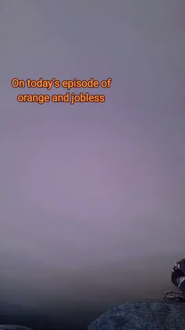 Orange 🍊 and jobless #jobless #cat #lovemycat #pets #funnycat #fyp 