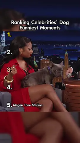 The dog is so cute 😍#celebrities #arianagrande #jeremyrenner #naomiwatts #fyp 