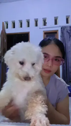 isok gak isok kut gak kuat