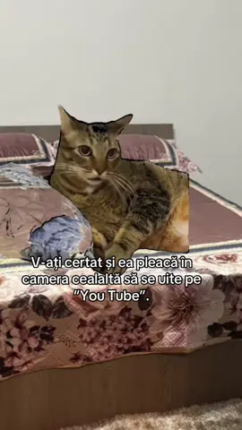 #Meme #MemeCut #😂 #fyp #videoviral @🦋𝓔𝓶𝓶𝔂🦋 