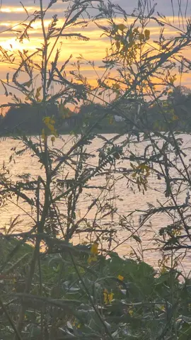 #menhmongvamcodong #lofichill #binhyen #mientay 