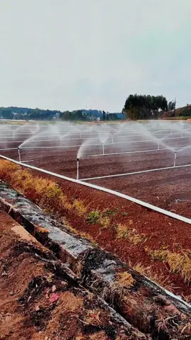 🌱💦 Cansado de gastar horas regando o jardim manualmente? Com o Aspersor Rotativo 360° Automático, seu quintal se mantém verde sem esforço!#QuintalVerde #CasaOrganizada #PromoTikTok
