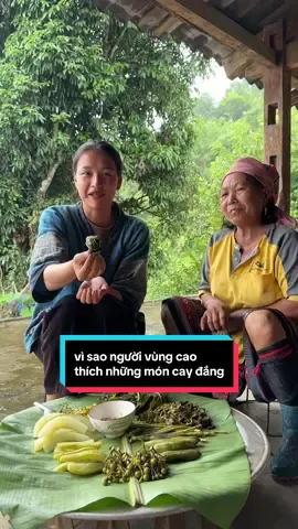 anh chị có biết vì sao người vùng cao lại thích ăn món cay và đắng không ạ, ngày hôm nay cùng em đi tìm hiểu nha #maylinhyenbai #cuocsongvungcao #amthu #taybac #dacsan 