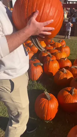 happy october 1st! 🎃
