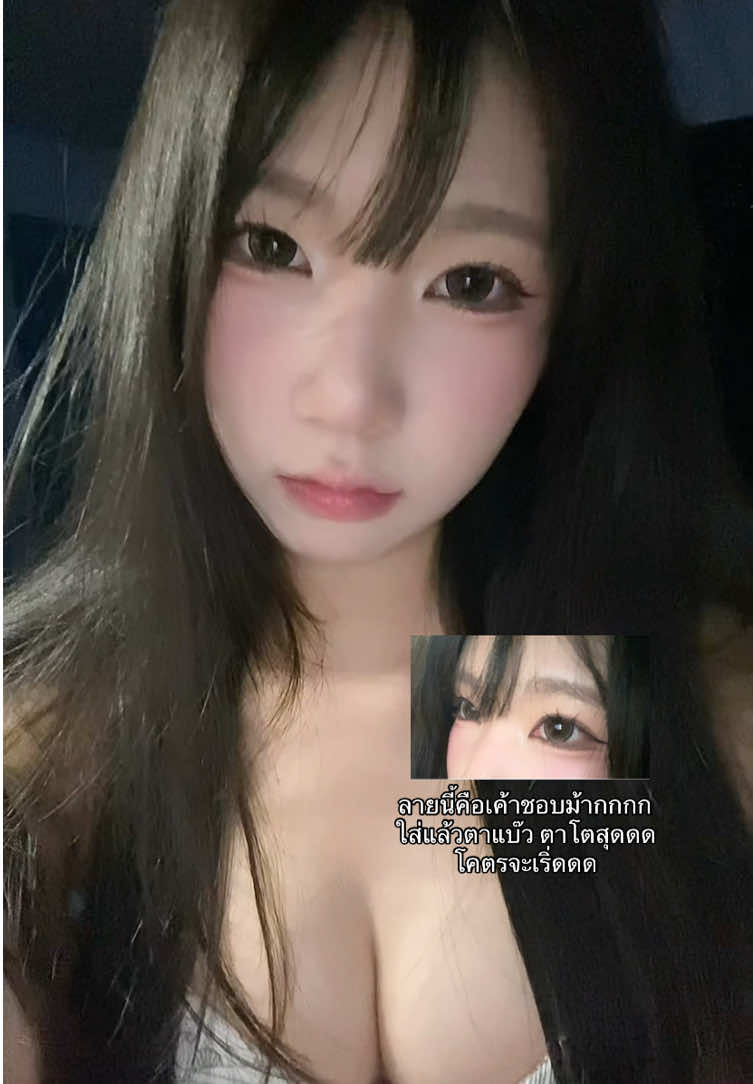 ตอบกลับ @fragile สีbrown na kaa #kittykawaiilens 