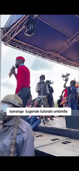 umbrella ye solution 