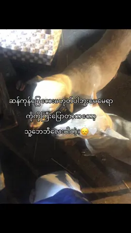 @တောင်းပန်ပါတယ် သူပြောတာသမီးမပြောဘူး😌#fpyシ #lyrics #foryoupage #ဘယ်ချိန်တင်မှviewတတ်မှာလဲ😾 #foryou 