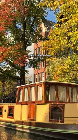 Send this to the person you want to experience this with 🍁🧡 Join us to discover the beauty of Amsterdam’s canals this fall! All information available in the link in our bio 🫶🏼 #BuddhaLoungeBoat #CanalCruise #amsterdam #amsterdamboat #amsterdamactivities 