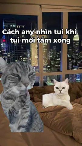 Ánh mắt thèm khát #meme #capdoi #memecat #xuhuong #trending 