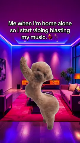 Catch me live in the lounge 2025 🕺✨ #Meme #MemeCut #MemeCut #relatable #goviral 