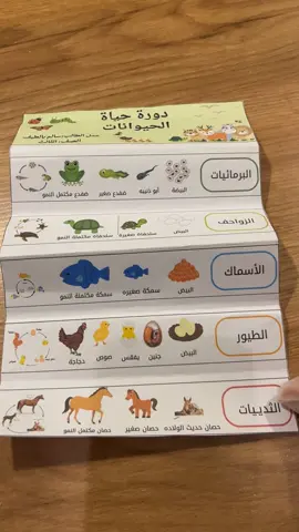 #مطوية_علوم_دورة_حياة_الحيوانات_الصف_الثالث_ابتدائي_