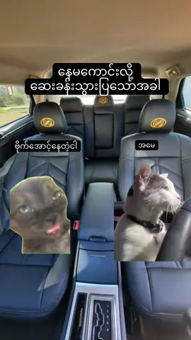 နေမကောင်းလို့ ဆေးခန်းသွားပြသောအခါ😆🤣🤣 #ရောက်ချင်တဲ့နေရာရောက်👌 #မြန်မာ #ဟာသ #viral #fyp 