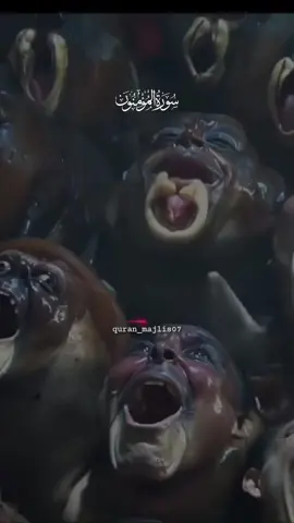 SURAH AL MOMNUN🕊🌺 VERSE:65-70 #repost #quranurdutarjuma #quranurdutranslation #quranmajlis07  #fypage