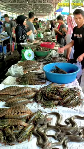 Gratis tinggal pilih