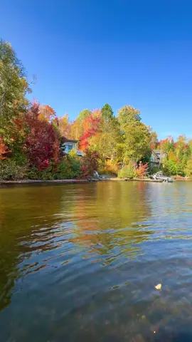 Magic of Autumn✨🧡🍁❤️ #autumn #fallcolors #lake #quebec #beauty 
