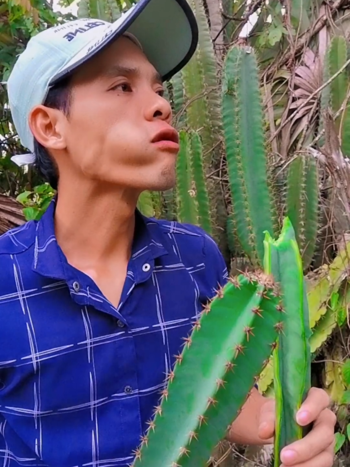 Eat fruit  #viralvideo #capcut #viral #fruit #fyp 