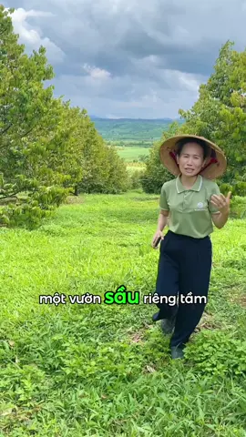 Hành trình 7 năm kiên trì với Sầu Riêng Sinh Thái. Mời bạn cùng cô chú nông dân tiếp tục hành trình đó thông qua mô hình Cây Sầu Riêng Nhà Tôi #saurieng #NongSanSach #sauriengngon #Organic #EcoNations 