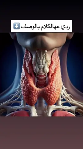 الحقيقة انو ما في أي دليل علمي حقيقي اثبت إنو رش العطر عالرقبة بيخربط الغدة الدرقية عند البشر. ..  صح فيه دراسة صارت سنة ٢٠٢٤ شافت مخبريا إنو فيه بعض العطور ممكن تقلل نشاط إنزيم معيّن اسمو الأروماتاز بالمختبر، وهالشي ممكن يغيّر توازن الهرمونات نظريًا. بس كلو بالمخبر .. هالدراسة كانت كلها  مخبرية